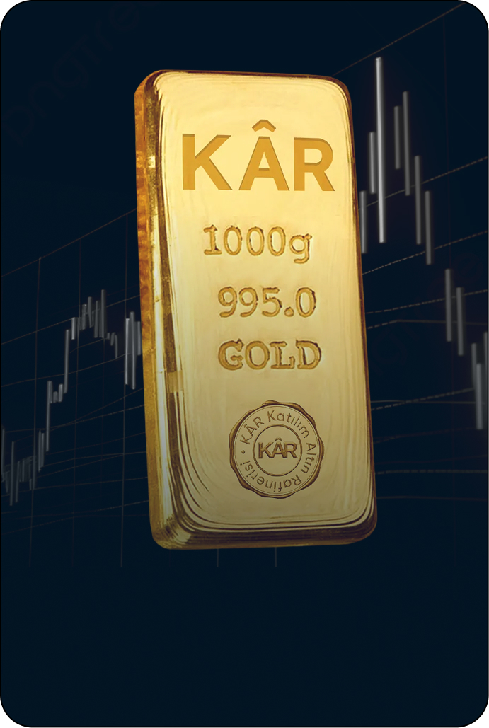 Investment